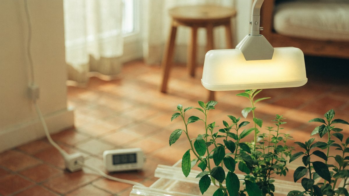 LEDs modernos consomem pouca energia para muita luz.