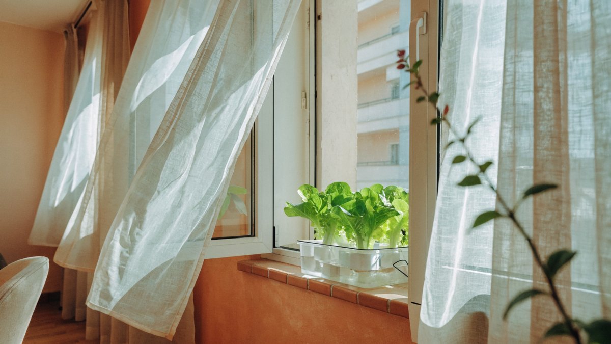 Como adaptar a hidroponia em apartamentos com ventilação