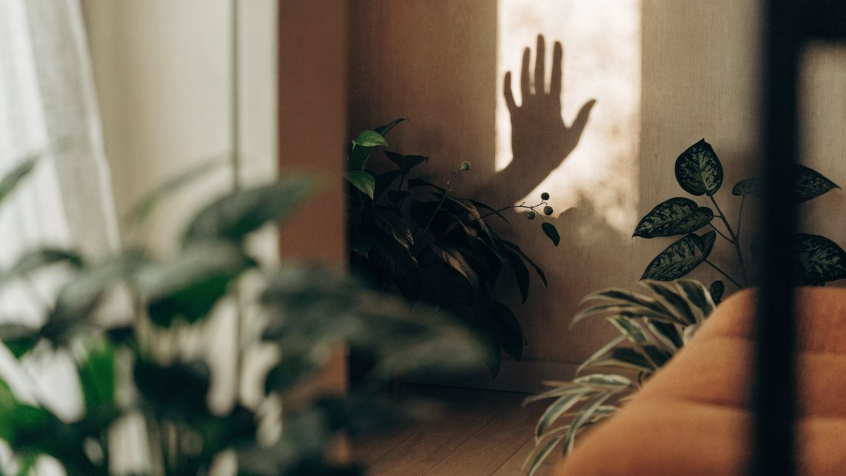 O teste da sombra revela quanta luz o ambiente realmente tem.