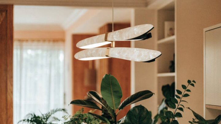 Como utilizar a luz para plantas sem comprometer a estética