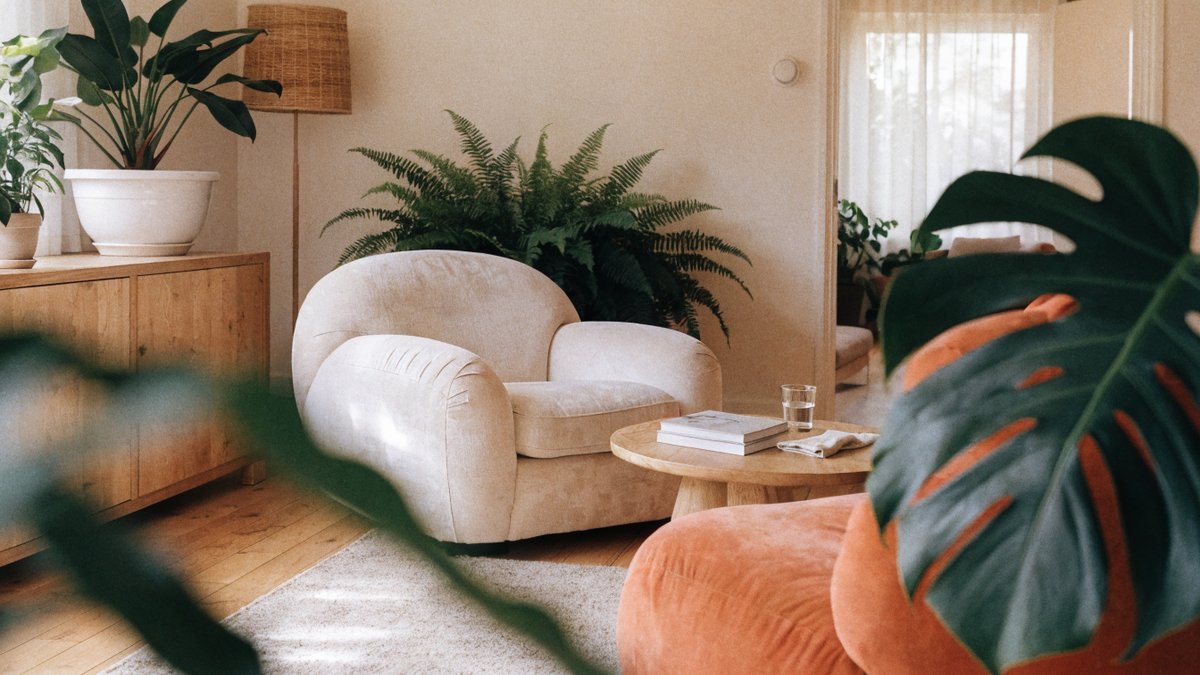 Guia de plantas para criar ambientes relaxantes