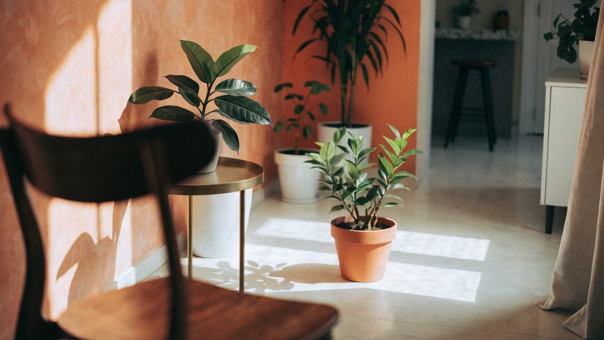A luz muda de lugar ao longo do dia — observe seu apartamento.