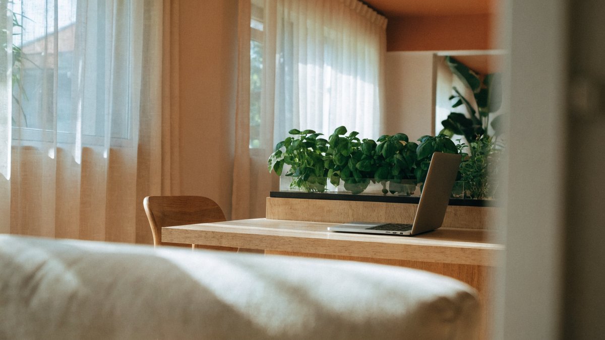 Hidroponia como elemento funcional na decoração de Home Office