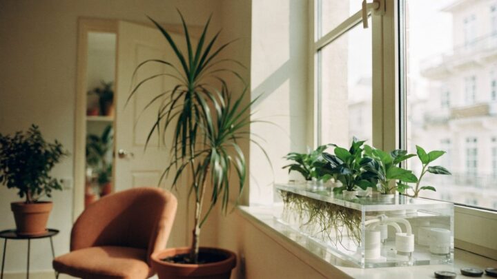 Onde instalar a hidroponia no apartamento? Guia de design.